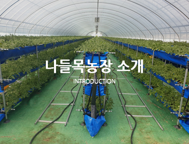 비바리농원소개
