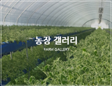 농장갤러리